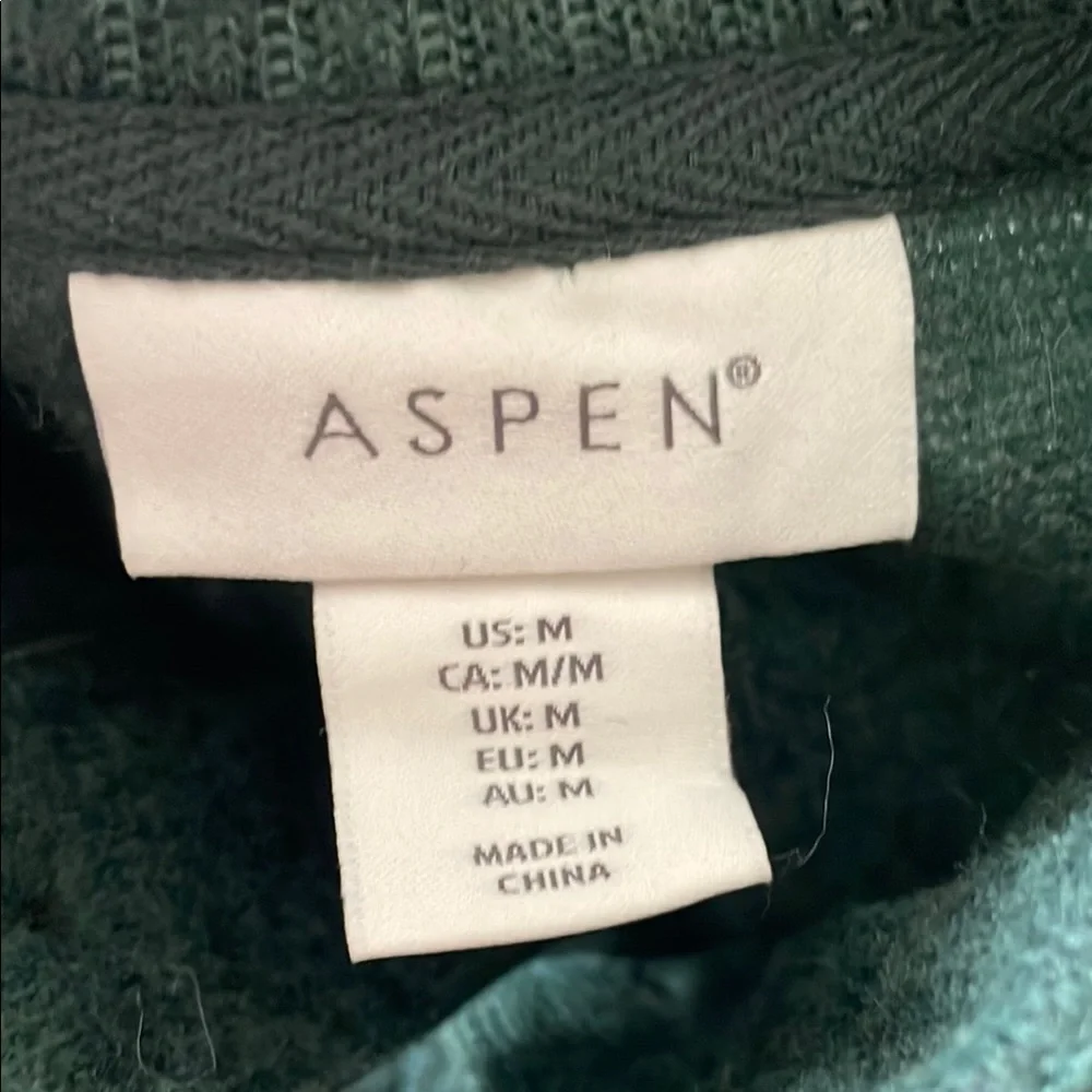 ASPEN Sweater Green Quarter Button Ski Outdoorsman Mock Neck Grandpa Preppy Med